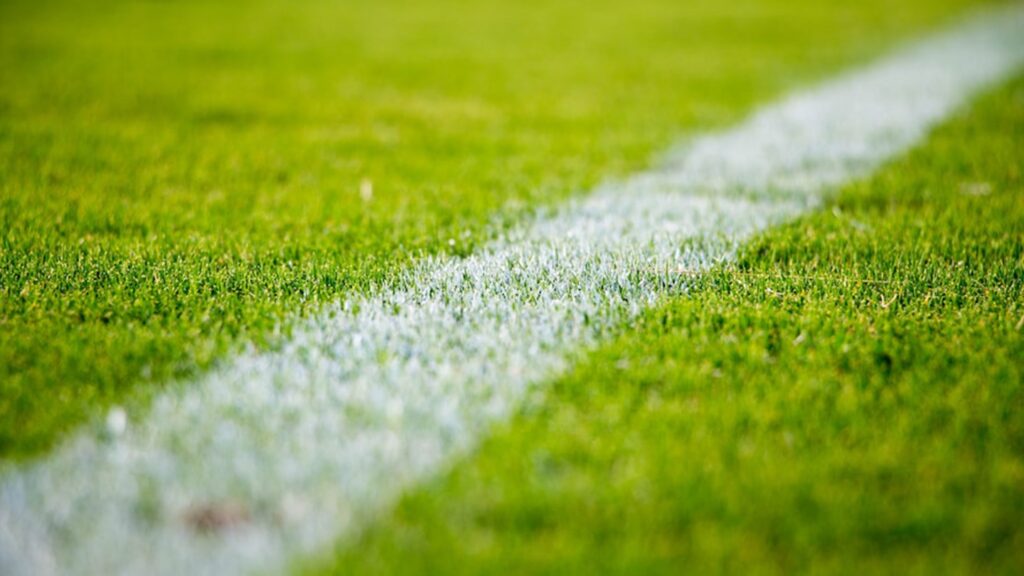organically-managed-athletic-fields
